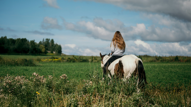 remove unwanted objects