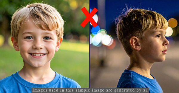 ai faceswap 2.5.4​